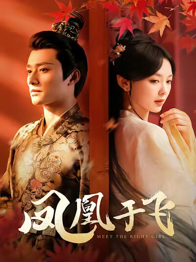 《凤凰于飞》剧照