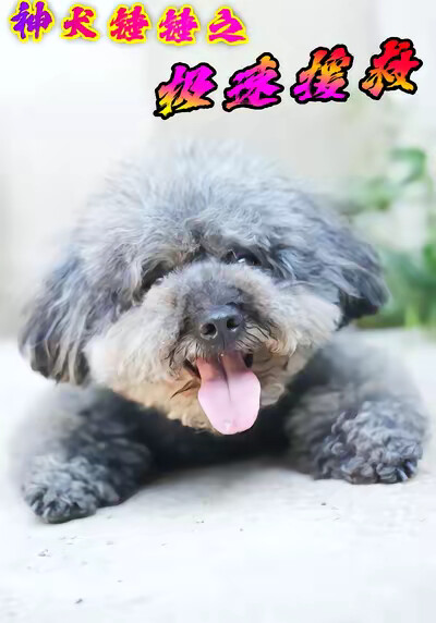 《神犬锤锤之极速援救》剧照