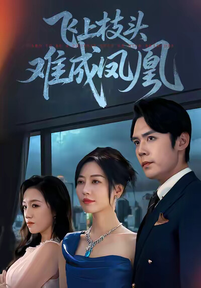 《飞上枝头难成凤凰》剧照