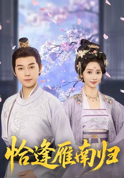 《恰逢雁南归》剧照