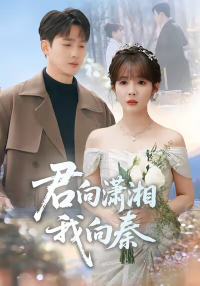 《君向潇湘,我向秦》剧照