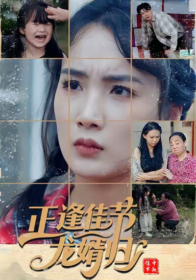 《正逢佳节龙婿归》剧照