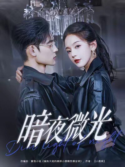 《暗夜微光》剧照