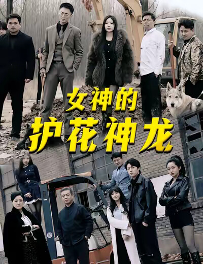 《女神的护花神龙》剧照