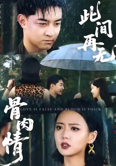 《此间再无骨肉情》剧照