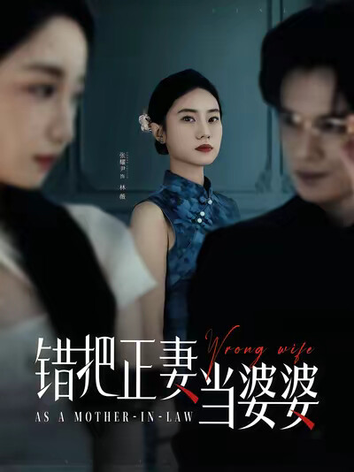 《错把正妻当婆婆》剧照
