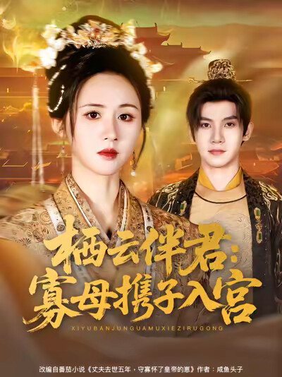 《栖云伴君:寡母携子入宫》剧照