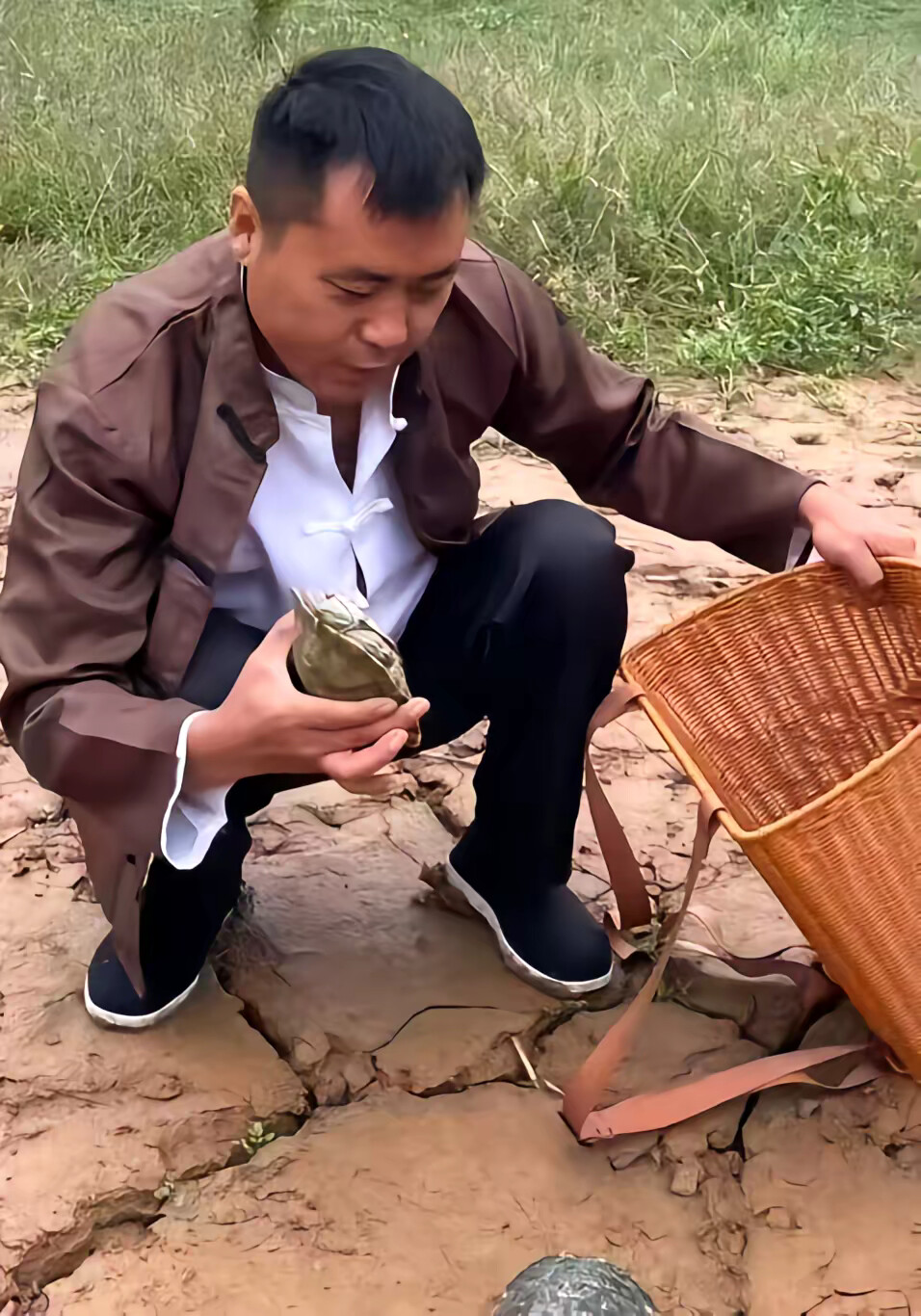 《石纹灵龟》剧照