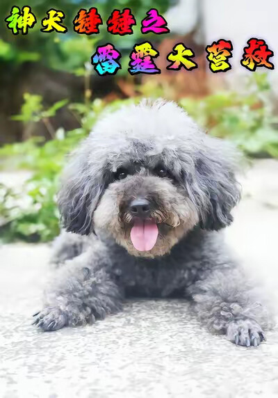 《神犬锤锤之雷霆大营救》剧照