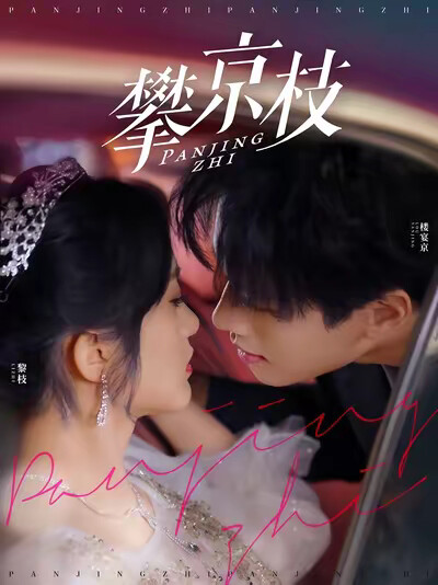 《攀京枝》剧照