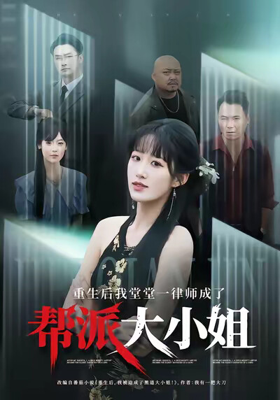 《重生后我堂堂一律师成了帮派大小姐》剧照