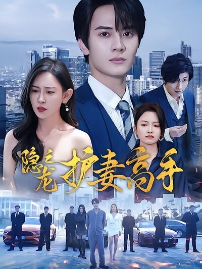 《隐龙之护妻高手》剧照