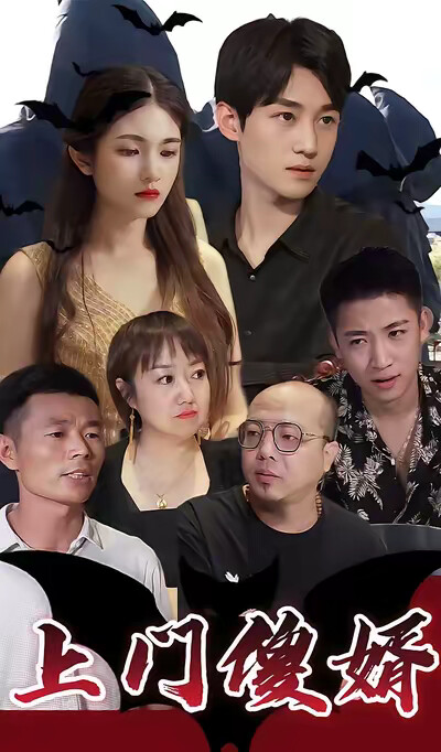 《上门傻婿》剧照