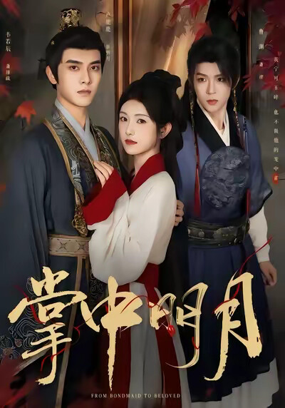 《掌中明月》剧照