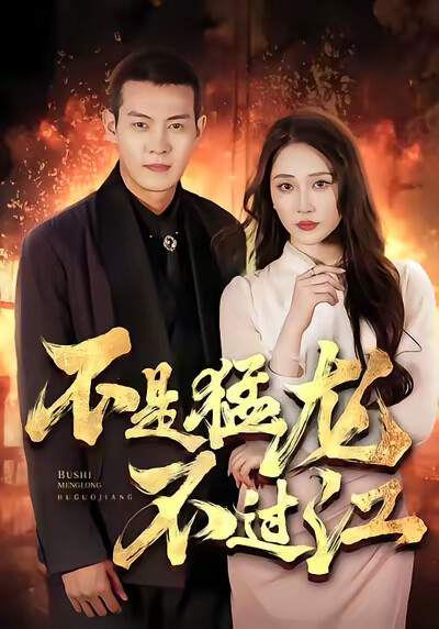 《不是猛龙不过江》剧照