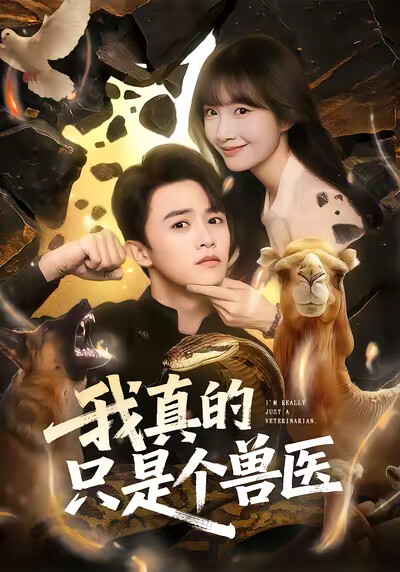 《我真的只是个兽医》剧照