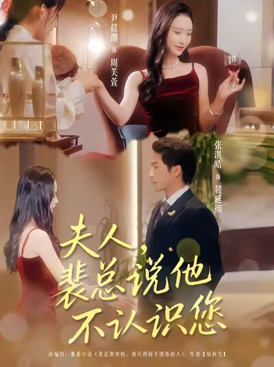 《夫人,裴总说他不认识您》剧照
