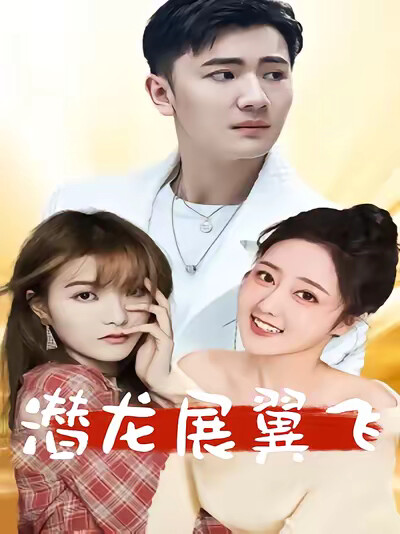 《潜龙展翼飞》剧照