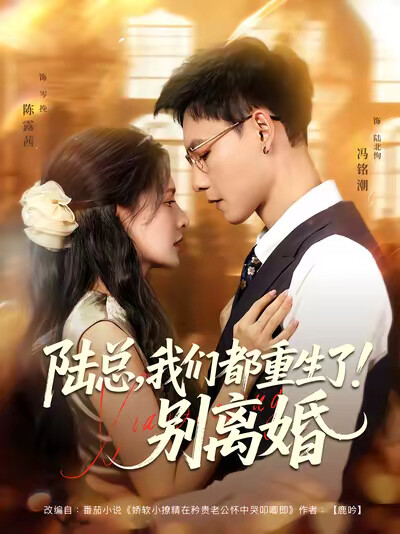 《陆总，我们都重生了！别离婚》剧照
