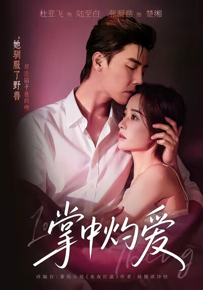 《掌中灼爱》剧照