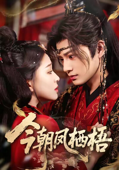 《今朝凤栖梧》剧照
