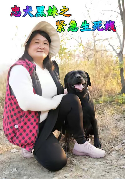 《忠犬黑妹之紧急生死线》剧照