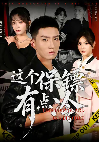《这个保镖有点冷》剧照
