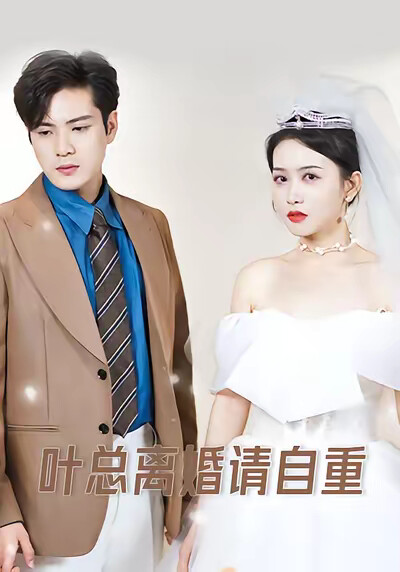 《叶总离婚请自重》剧照