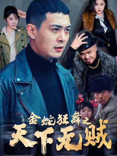 《金蛇狂舞之天下无贼》剧照