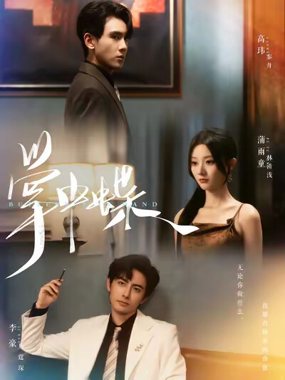 《掌中蝶》剧照