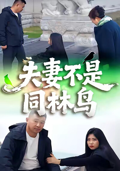 《夫妻不是同林鸟》剧照