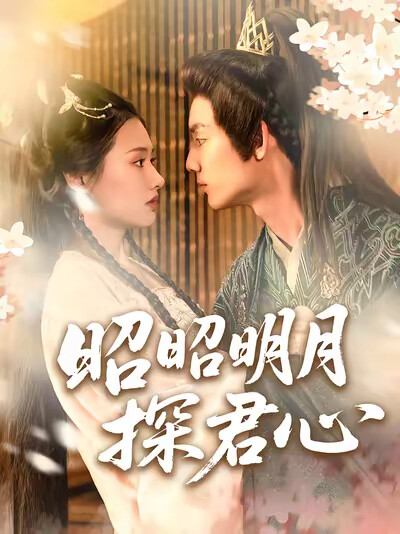《昭昭明月探君心》剧照