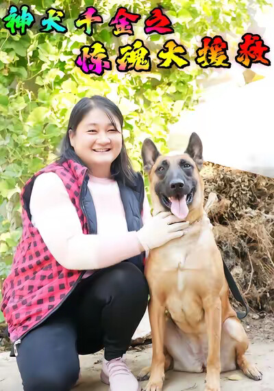 《神犬千金之惊魂大援救》剧照