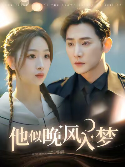 《他似晚风入梦》剧照