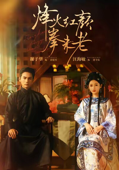 《烽火红颜拳未老》剧照