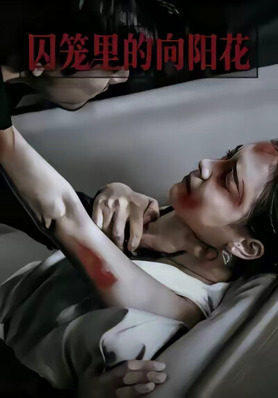 《囚笼里的向阳花》剧照