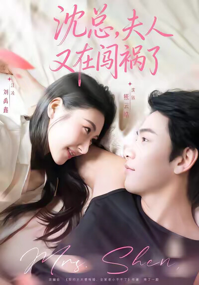 《沈总，夫人又在闯祸了》剧照