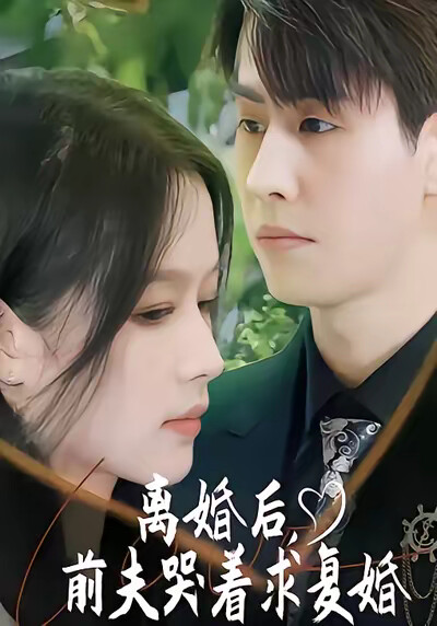 《离婚后，前夫哭着求复婚》剧照