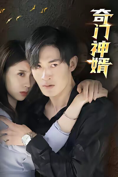 《奇门神婿》剧照