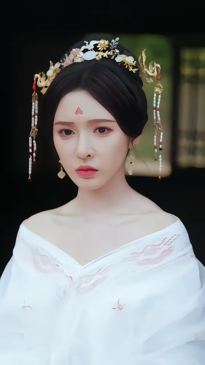 《万里江山入我怀》剧照