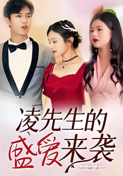 《凌先生的盛爱来袭》剧照