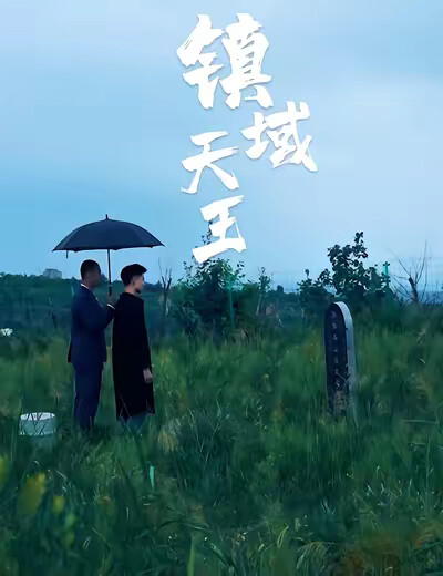 《镇域天王》剧照