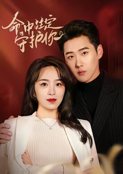 《命中注定守护你》剧照