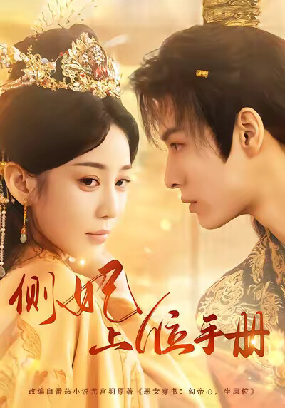 《侧妃上位手册》剧照