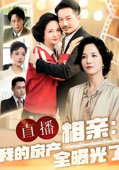 《直播相亲：我的家产全曝光了》剧照