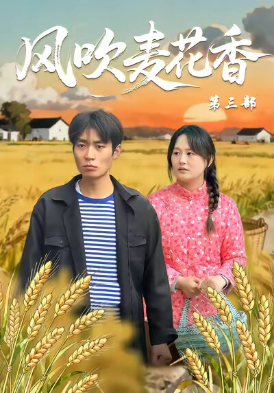 《风吹麦花香第三部》剧照