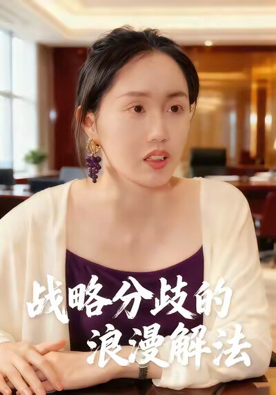 《战略分歧的浪漫解法》剧照