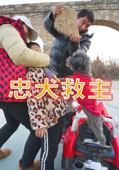 《忠犬救主》剧照