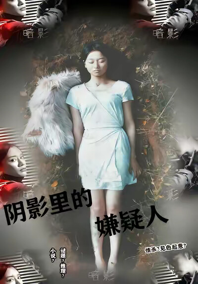 《阴影里的嫌疑人》剧照