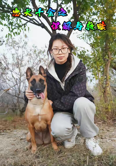 《忠犬千金之误解与救赎》剧照